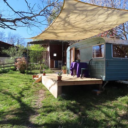 Cosy Cabane Montbrun-Bocage Екстериор снимка