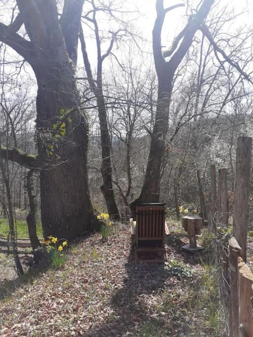 Cosy Cabane Montbrun-Bocage Екстериор снимка